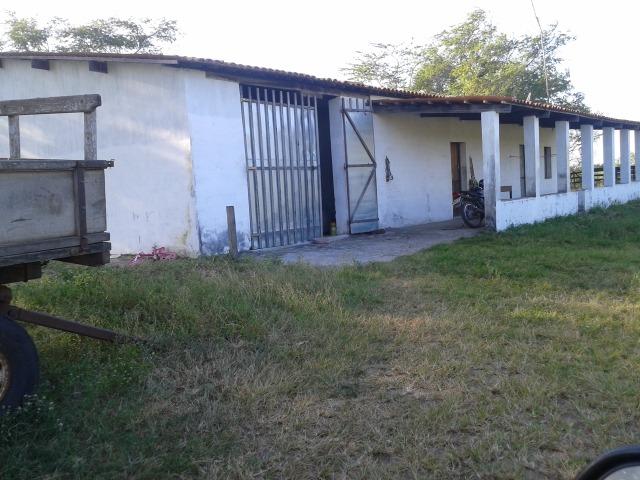 Fazenda com 290 há, casa, curral, 4 barreiros, muito pasto - Foto 16