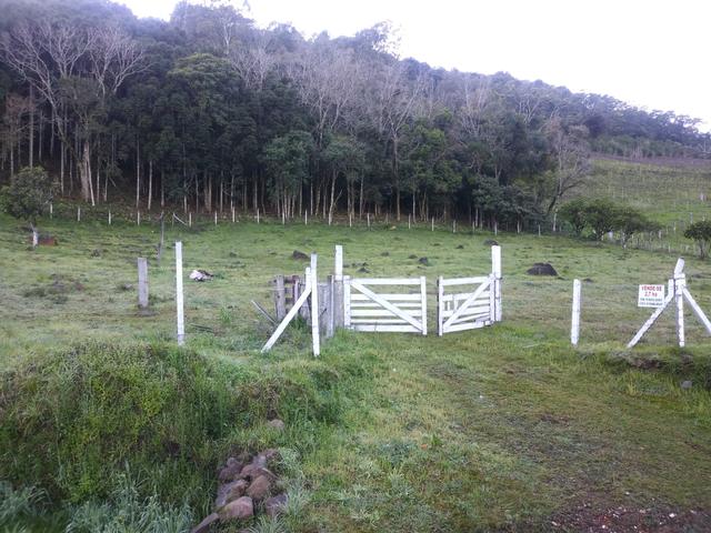 2.7 ha. linda chacara a apenas 7.5 km do centro de farroupilha - Foto 2