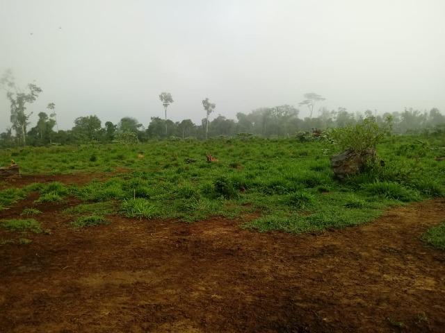 Vendo Fazenda em Novo Prigresso/PA - Foto 4