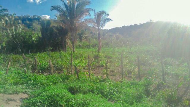 Vendo Fazenda de 122 hectares com psicultura - Foto 5