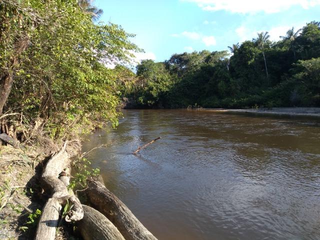 51 alqueires (250 hectares) com 30 alqueires de pasto por 850 mil reais no Pará - Foto 2