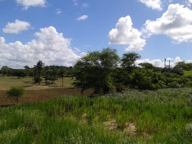 Fazenda com 62 há na br 304, com rio potengi, casa, deposito - Foto 12