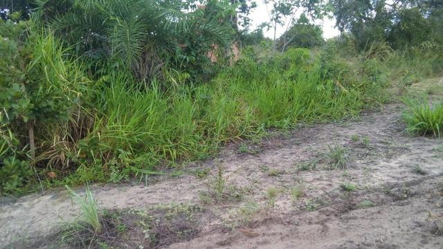 Sitio na Linha Verde (Cidade do Conde) Próximo a rios) - Foto 5