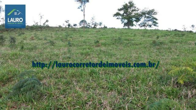 Terra em Catuji/MG com 7,5 alqueires - Foto 12