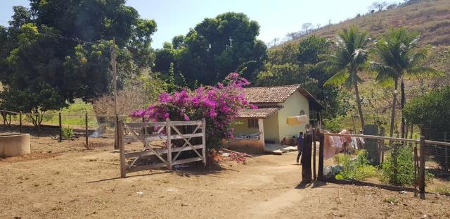 Jampruca Minas Gerais fonte: img.olx.com.br