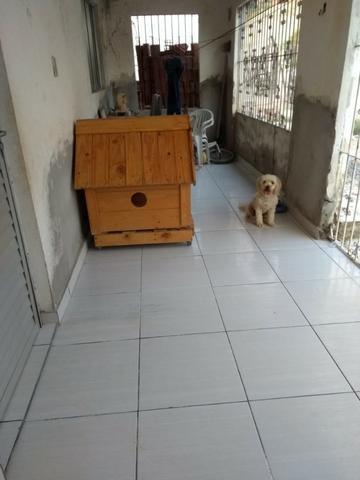 Casa em Sucupira com 3 quartos sendo 1 suíte - Foto 11