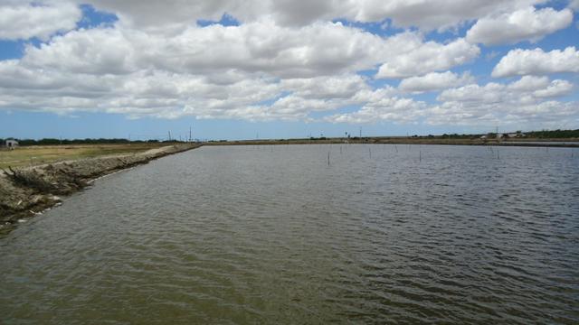 Vendo Fazenda para Produção de Camarão e Peixe