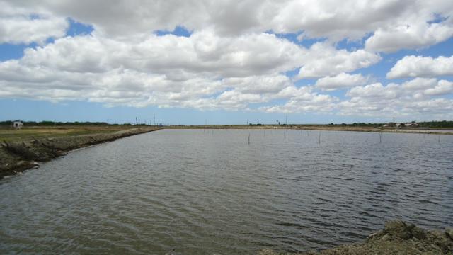 Vendo Fazenda para Produção de Camarão e Peixe - Foto 13