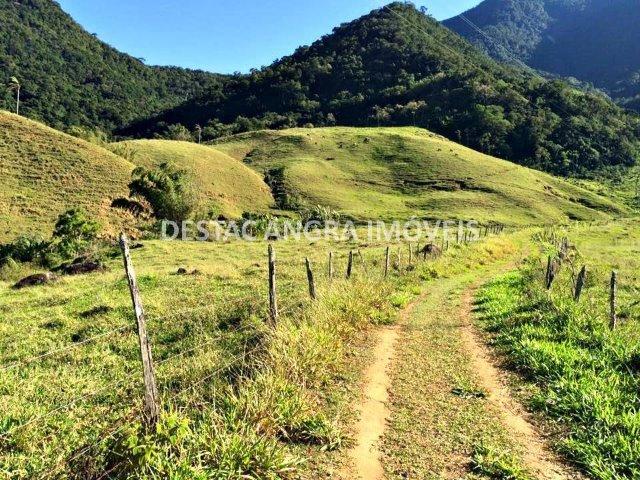 Fazenda na Serra D?água em Angra- 65 Alqueires - Foto 9