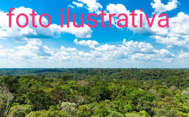Fazenda com 522.000 hectares no amazonas, ler descrição do anuncio