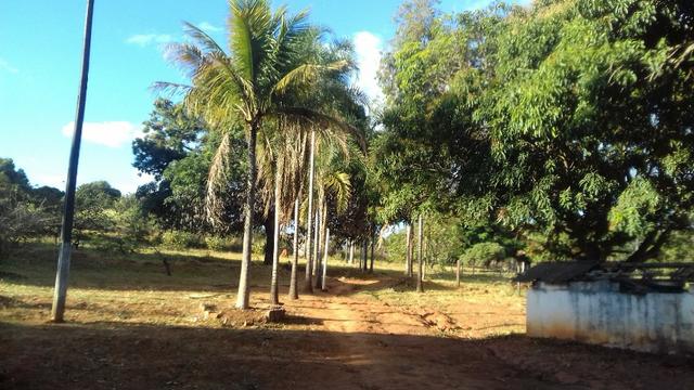 Água Lindas - GO - Foto 16