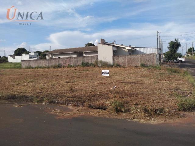 Terreno à venda, 200 m² por R$ 60.000 - Jardim Santos Dumont - Paranavaí/Paraná - Foto 3
