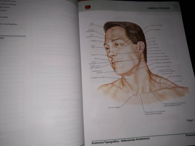 Dois Atlas de Anatomia Humana de Frank Netter - volumes 1 e 2 - Foto 2