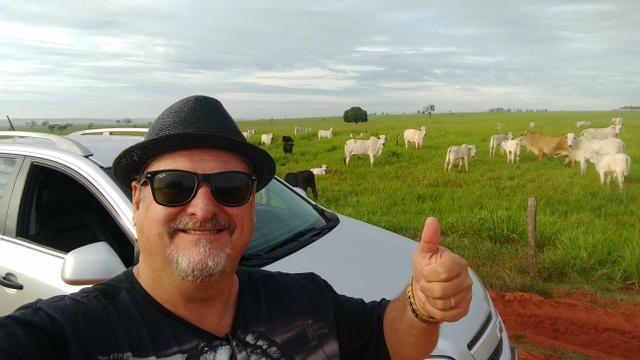 Arrendo Sua Fazenda 100 a 1000 Alq - Foto 7