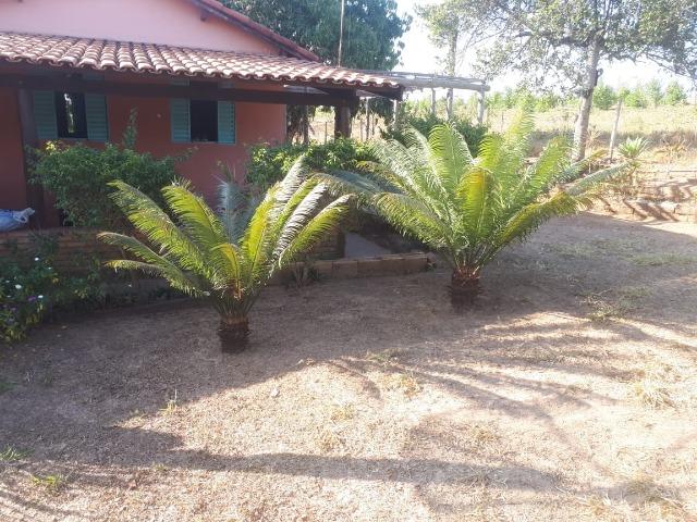 Excelente fazenda em Presidente Olegário/MG- oportunidade - Foto 16