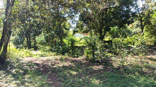 Chácara 2 Alqueires Formada 9 Km Asfalto Corumbá Goiás - Foto 5