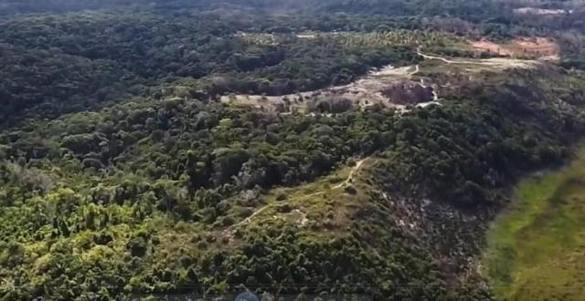 Fazenda à venda, 2100000 m² por R$ 21.000.000,00 - Santo André - Santa Cruz Cabrália/BA - Foto 7