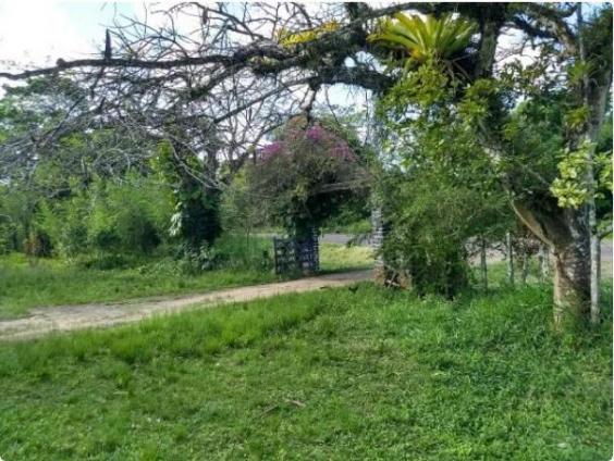 Fazenda à venda, 4190000 m² por R$ 5.600.000,00 - Cidade Nova - Ilhéus/BA - Foto 4