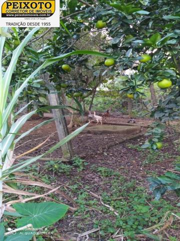 Terreno - Foto 2