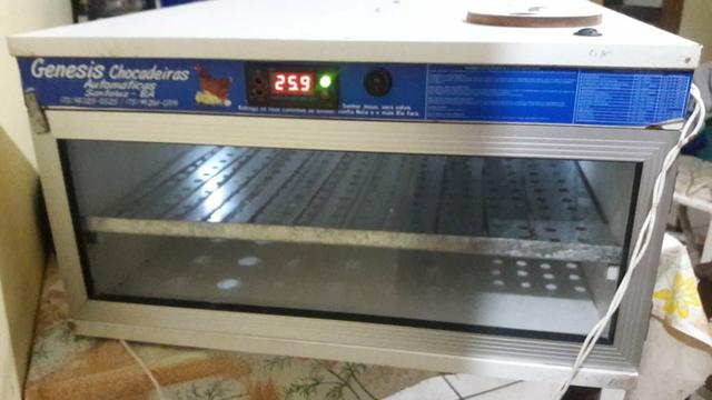 Oportunidade única! Chocadeira 120 ovos 450 reais!