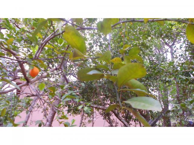Chácara à venda em Zona rural, Chapada dos guimaraes cod:20937 - Foto 4