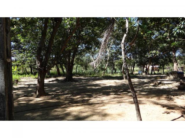 Chácara à venda com 3 dormitórios em Jardim potiguar, Varzea grande cod:15475 - Foto 7