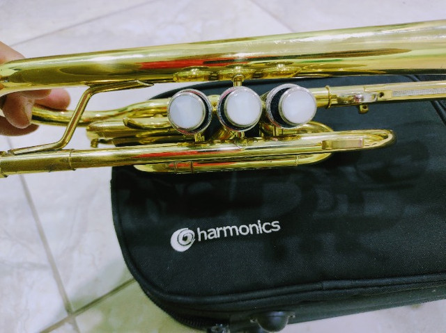 Trompete Cornet Laqueado Si Bemol Harmonics - Foto 5