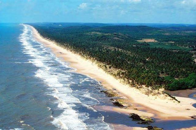 Sítio/ Fazenda no Conde de 33 tarefas com sede rio e lagoa na Linha Verde/ Litoral Norte - Foto 7