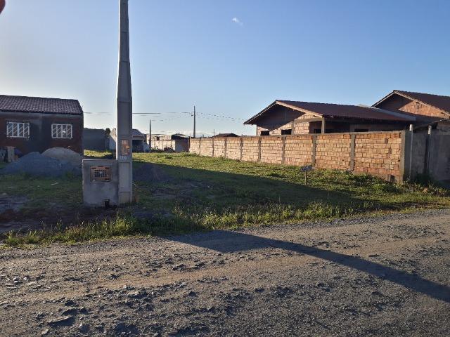 Terreno Araquari - Foto 3