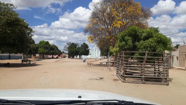 Ibimirim=Vend.5.500 mil por Hect=Fazenda mil Hect. Pronta pra Criar e Plantar=Água,Energia - Foto 17