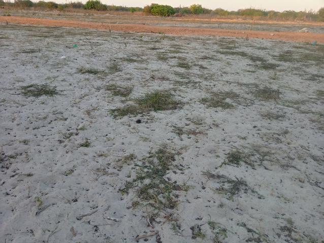 Terreno - Foto 4