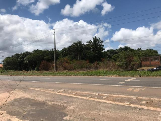 Terreno Vila Maranhão - Foto 4