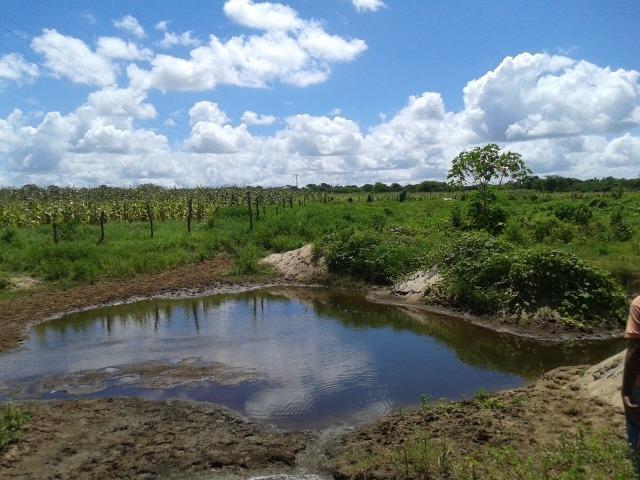 Fazenda com 38 há em são pedro do potengi, casa, curral, barreiro, rio potengi - Foto 9