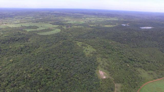 Fazenda em Piracuruca-PI - Foto 3