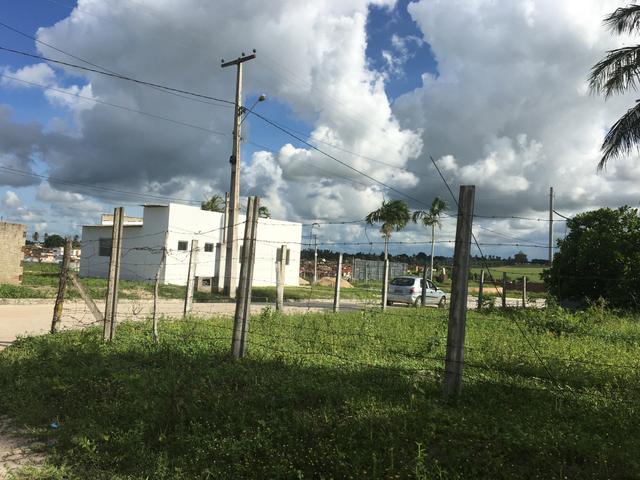 Vende se terreno em Monte alegre - Foto 2