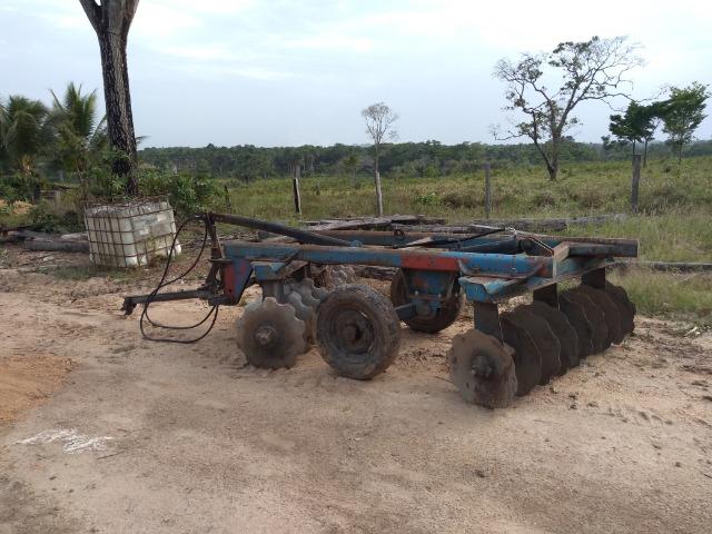 51 alqueires (250 hectares) com 30 alqueires de pasto por 850 mil reais no Pará - Foto 11