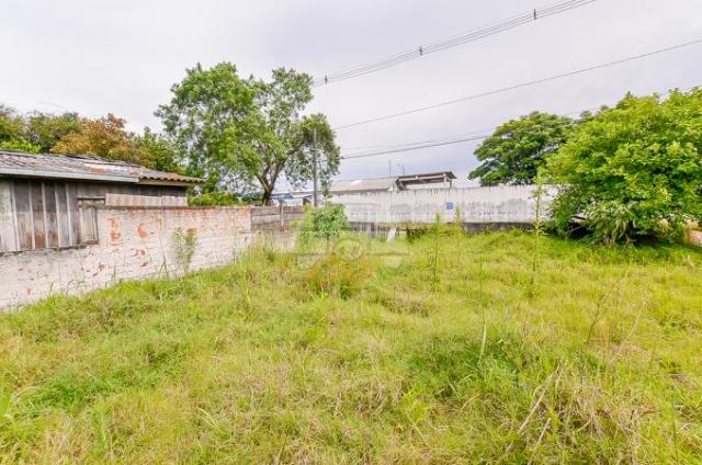 Terreno à venda em Bacacheri, Curitiba cod:142343 - Foto 11