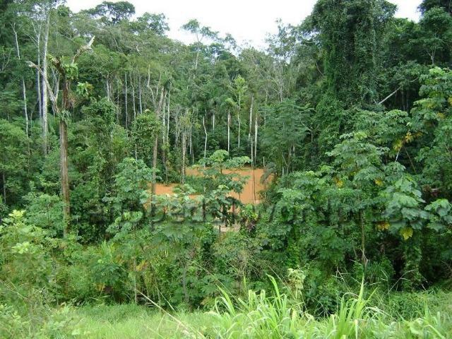 Fazenda de 11.250.000 hectares na AM 010 - Foto 3