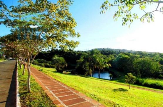 Terreno, Protásio Alves, Porto Alegre-RS - Foto 13