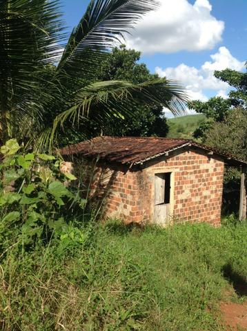 Paudalho=Vend.113 mil reais=10 Hect. Sítio pronto pra morar, Criar e plantar - Foto 15
