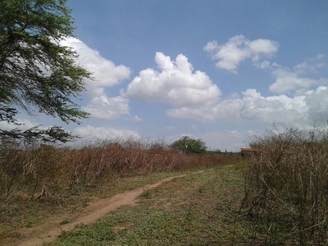 Fazenda com 62 há na br 304, com rio potengi, casa, deposito - Foto 18