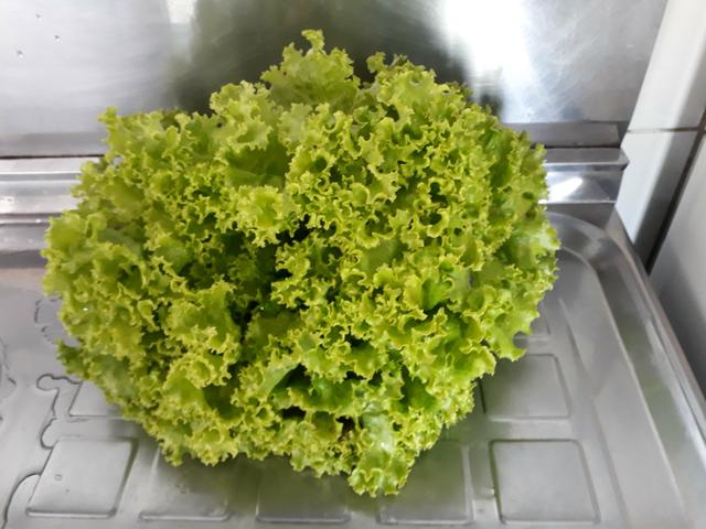 Cheiro Verde e alface orgânica - Foto 4
