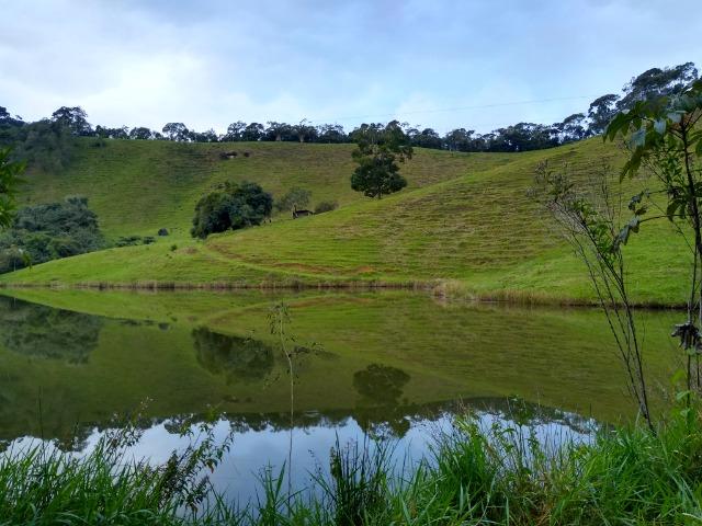Fazenda Viana 20 alqueires - Foto 4