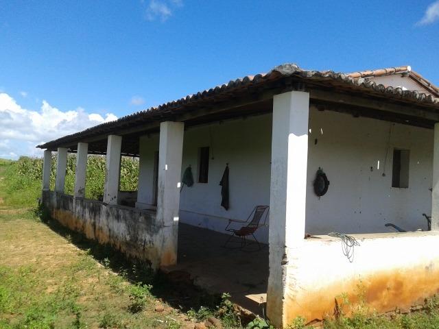 Fazenda com 38 há em são pedro do potengi, casa, curral, barreiro, rio potengi - Foto 18