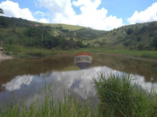 Fazenda com 4 dormitórios à venda, 800000 m² - zona rural - gravatá/pe - Foto 24