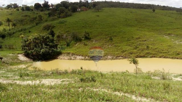 Fazenda com 4 dormitórios à venda, 800000 m² - zona rural - gravatá/pe - Foto 30