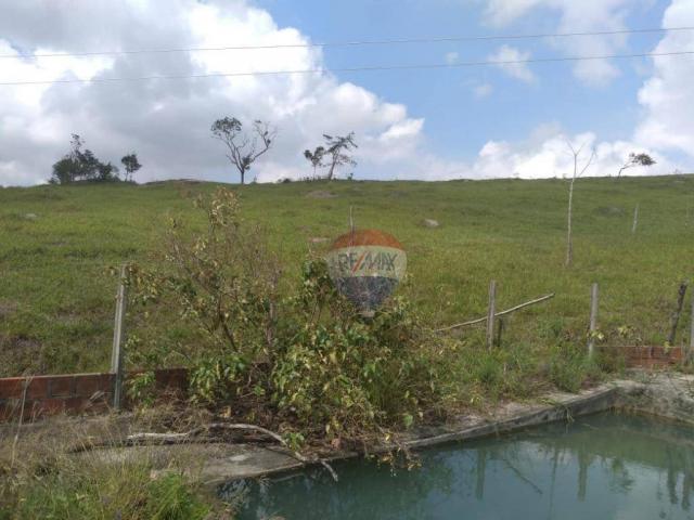 Fazenda com 4 dormitórios à venda, 800000 m² - zona rural - gravatá/pe - Foto 22