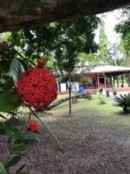 Venda* Linda Chácara!!!! - Foto 4