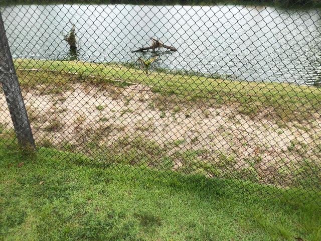 Cond. Mirante do Lago, apto 3/4 sendo 1 suíte R$115 mil. Aceita proposta e veículo - Foto 20