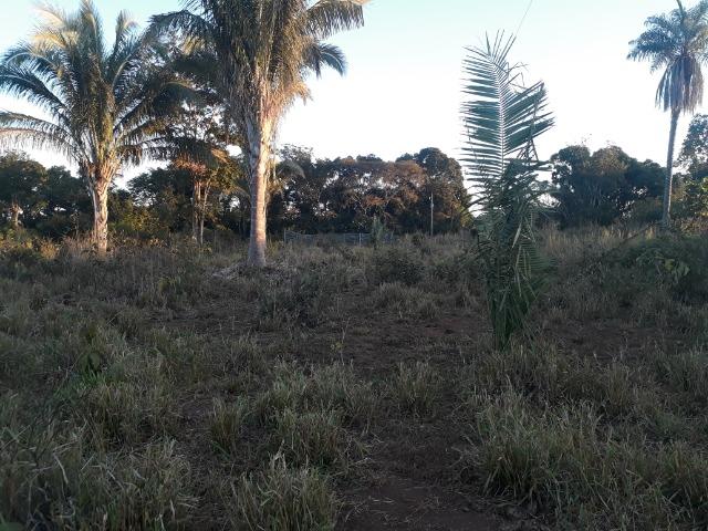 Chácara a 11 km de Acorizal - Foto 14